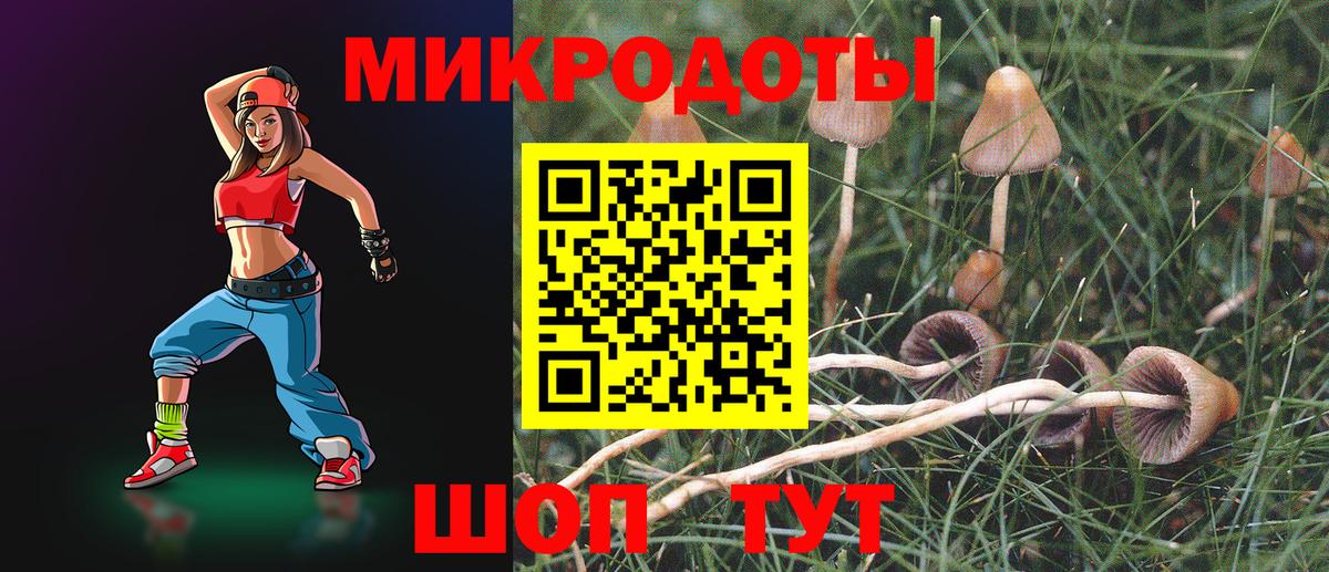 Усть-Илимск  Псилоцибиновые грибы мицелий  Вход с VPN 